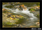 DSC_9231 copy