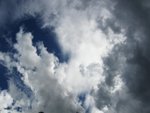 IMG_4133