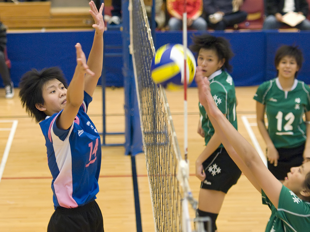 学界精英排球赛 2008~09 女子冠军赛 - 培英 vs 狮子会